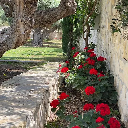 Marmelada Villa